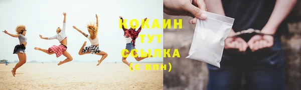 тгк Абаза