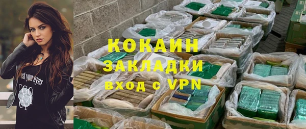 тгк Абаза